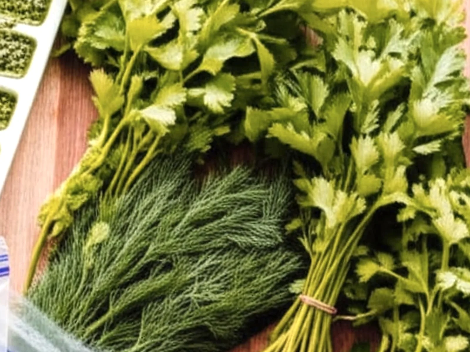 Reçeli i bredhit, ëmbëlsira e freskët e natyrës - recetë tradicionale shqiptare salcë & turshi